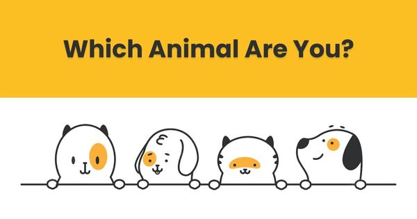 animal-are-you.jpg