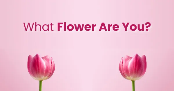 flower-are-you.jpg