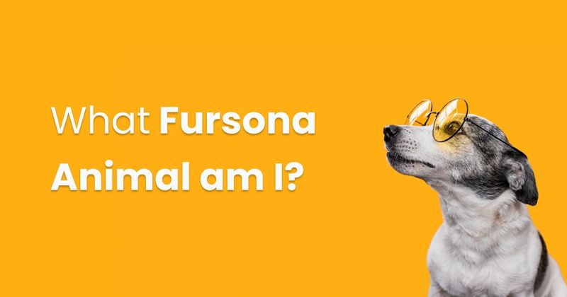 fursona-are-you.jpg